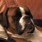 Profile Picture of HansGeorg Sendker (@hansgeorg.sendker.7) on Facebook