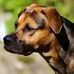 Profile Picture of Nancy Rees (@nancy.rees.5015) on Facebook