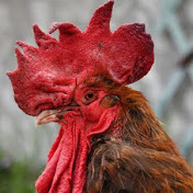 Profile Picture of Beth Dougherty (@bethdougherty8391) on Youtube