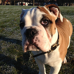 Profile Picture of Paul Cunningham (@paulcunno3367) on Flickr