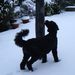 Profile Picture of andrew chalmers (@abchalmers) on Pinterest