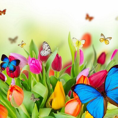 Profile Picture of JULIA RUIZ OVANDO (@OvandoRUIZ) on Twitter