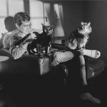 Joshua Weiler - Instagram Profile Picture of Joshua Weiler (@jweiler484) on Instagram