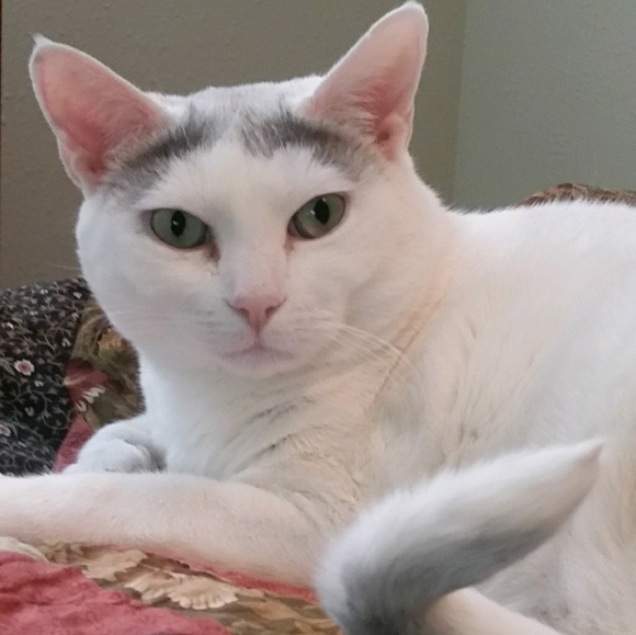 Profile Picture of Barbara Chandler (@bebop63) on Poshmark