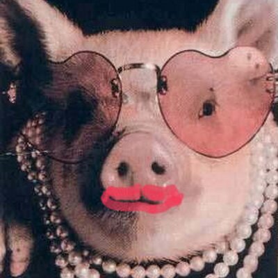 Profile Picture of Fidel Cerdo Ruz (@CastroCerdo) on Twitter