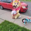 Profile Picture of David Thibault (@david.thibault7) on Tiktok