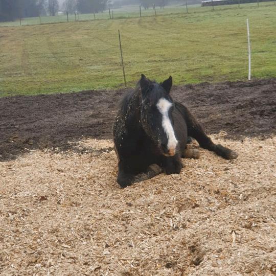 Profile Picture of Christoph Kretzer (@christophkretzer) on Tiktok