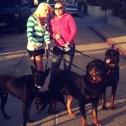 Profile Picture of Carly Wolfert (@carlyhannah22) on Pinterest