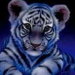 Profile Picture of Michael Schröter (@schroter3375) on Instagram