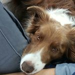 Profile Picture of Chris Maggs (@maggs.chris) on Instagram