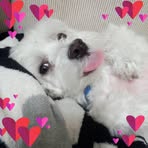 Profile Picture of Yuko Uemura (@yuko.uemura.923) on Facebook