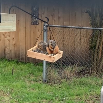 Profile Picture of Michael Whitsell (@MichaelWhitsel2) on Twitter