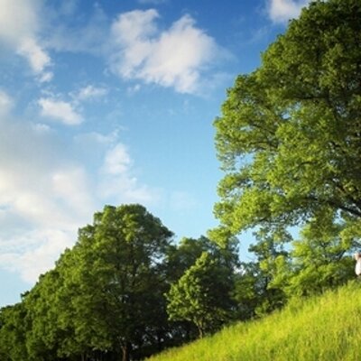 Profile Picture of Glenn Chung (@glennchung5465) on Twitter