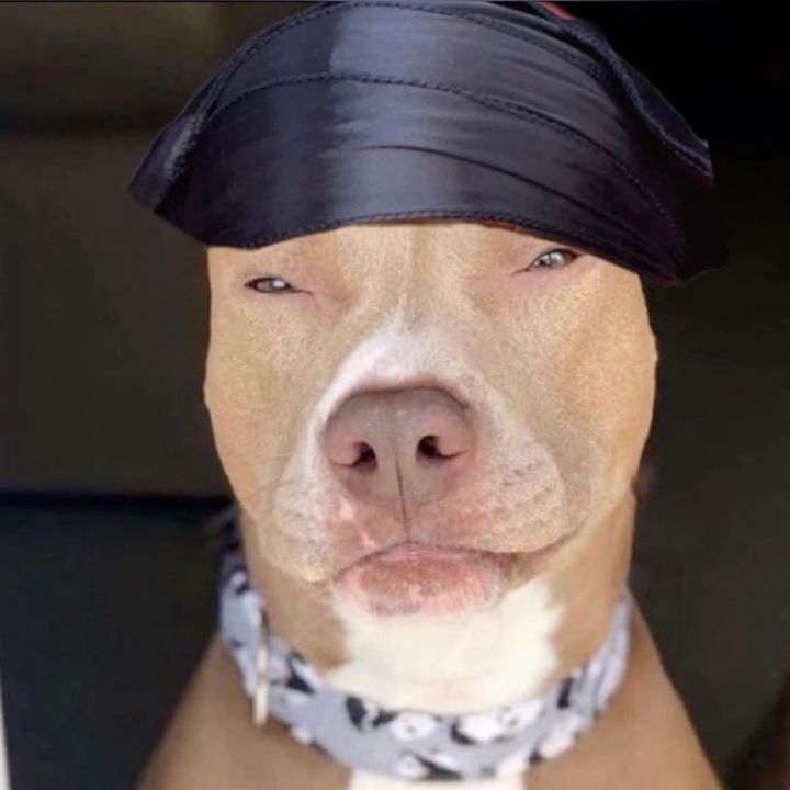 Profile Picture of Angelo (@angelocardenas_12) on Tiktok