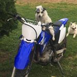 Jason Anderson - Instagram Profile Picture of Jason Anderson (@jasonmanderson) on Instagram