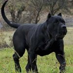 Profile Picture of lythabyd (@lythabyd466) on Instagram