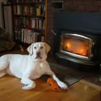 Profile Picture of Larry Morse (@larry.morse.735) on Facebook