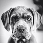 Profile Picture of Pablo Paullier (@ppaullier) on Instagram