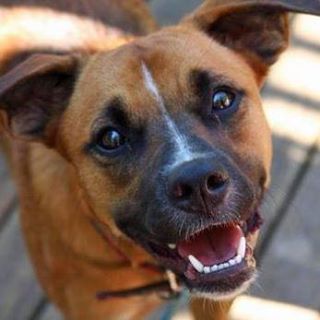 Profile Picture of Winnie Ko (@Winnie-Ko) on Facebook