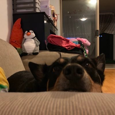 Profile Picture of Catherine Wai Fun Chung (@FunCatherine) on Twitter