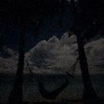 Profile Picture of Hedy Manitius (@hedymanitius.xn3nes1) on Instagram