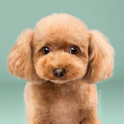 Profile Picture of Verónica Lucas (@VernicaLucas8) on Twitter