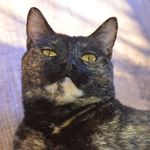 Profile Picture of Petronela Kimová (@kiminaforpresident) on Instagram