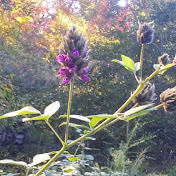 Profile Picture of Seth Reid (@sethreid3821) on Youtube