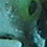 Profile Picture of Joseph Roy Forshaw (@Dr Doomish) on Flickr