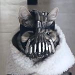 Profile Picture of mickey eldrick mamba rowe (@mickey_el_cobrador) on Instagram