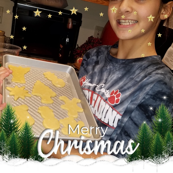 Profile Picture of Terry Froncek (@terryf53) on Poshmark