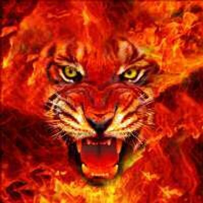 Profile Picture of Scott  Forehand (@sdf77113141) on Twitter