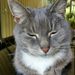 Profile Picture of David Tatkovich (@tatkovich) on Pinterest