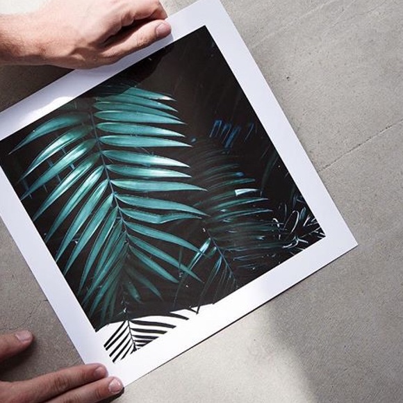 Profile Picture of David Stine (@djstine) on Poshmark