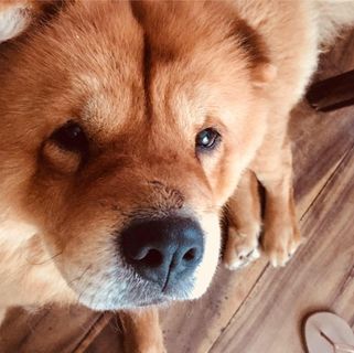 Profile Picture of Don Carlo Teves (@doncarlo.teves.5) on Facebook