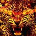 Profile Picture of Adam Gaber (@adam.gaber.737) on Facebook