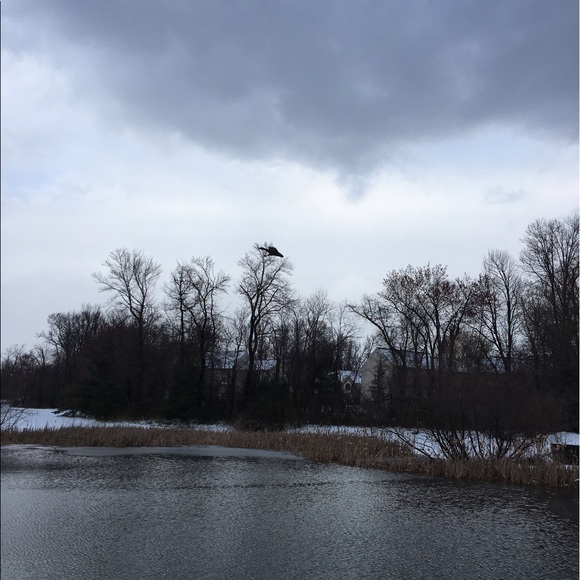 Profile Picture of Daniela Prudencio (@daniela__124) on Poshmark