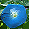 Profile Picture of foreggnog (@foreggnog) on Flickr