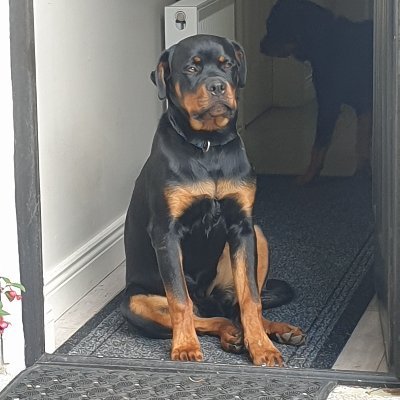 Profile Picture of John Keogh (@JohnKeo86501360) on Twitter