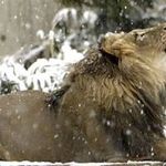 Profile Picture of Craig Pressley (@pressleycraig) on Instagram