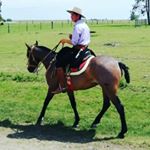 Darwin Dornelles - Instagram Profile Picture of Darwin Dornelles (@darwindornelles) on Instagram