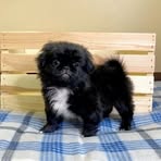 Profile Picture of Matthew Chappell (@Matthew-Chappell) on Facebook