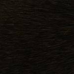 Profile Picture of Dyl Ray Ray And Josey (@drjinstaposts) on Instagram