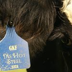 Profile Picture of Garrett Stanfield (@garrettstanfieldssf) on Instagram