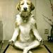 Profile Picture of Karl McKenzie (@karlam63) on Pinterest