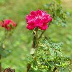 Profile Picture of James Di Trapani (@james.d.trapani) on Facebook