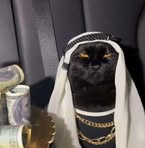 Profile Picture of Matheo Branger (@Matheo-Branger) on Facebook