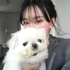Profile Picture of Kim.Hart (@burdedqflai) on Tiktok