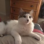 Profile Picture of Deisy Pérez (@neysa.santamarina) on Instagram