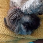 Profile Picture of Susan Lucas (@susanlucas5406) on Youtube